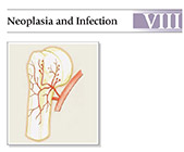 Tumors of the Shoulder Girdle 