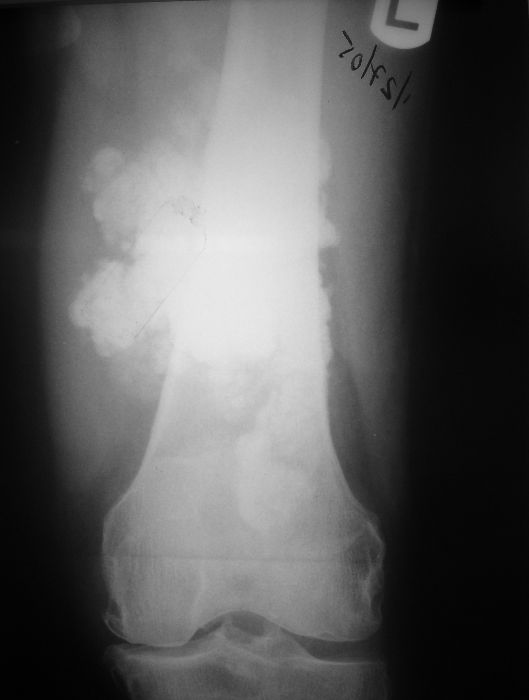 Fig. 1 Fig. 1