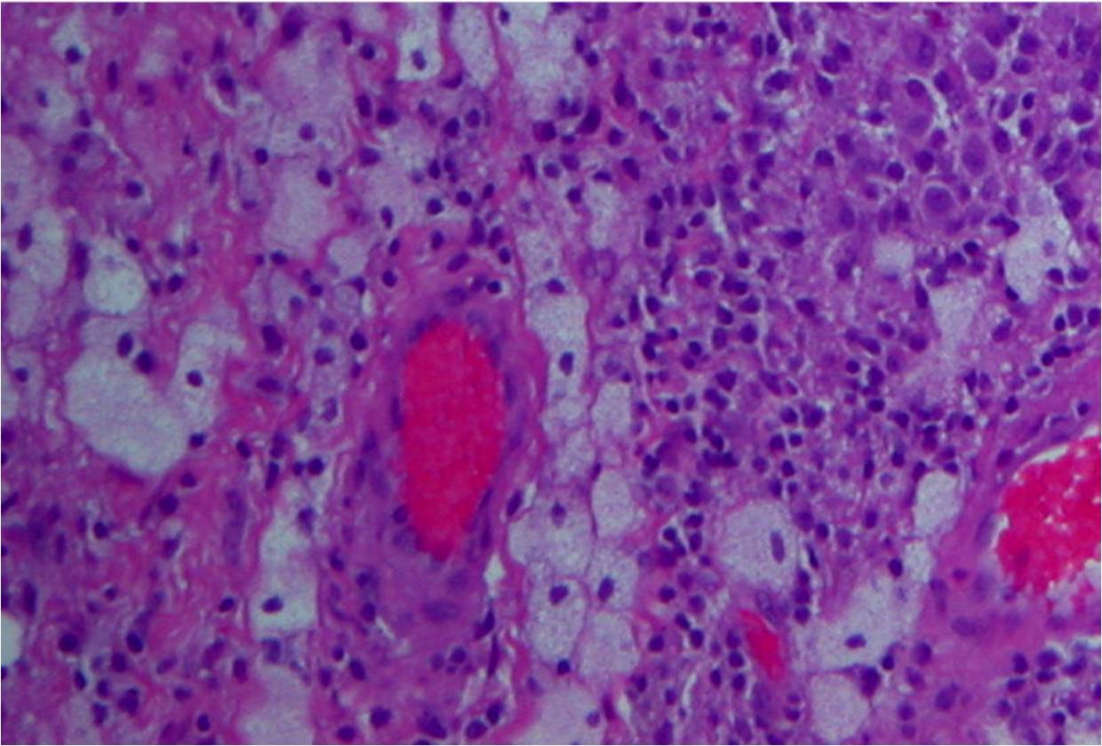 Fig. 10 Fig. 10