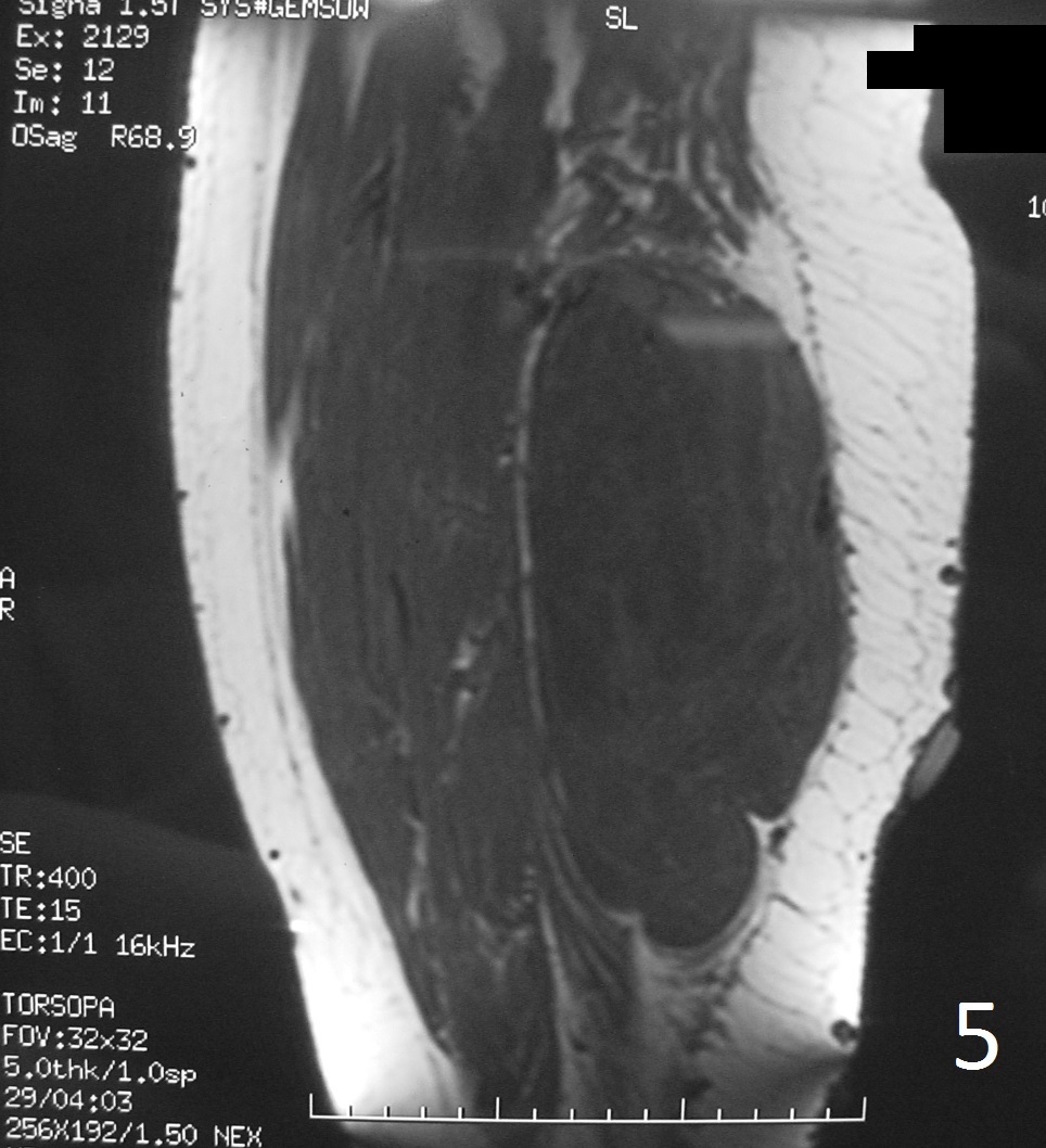 Fig. 5 Fig. 5