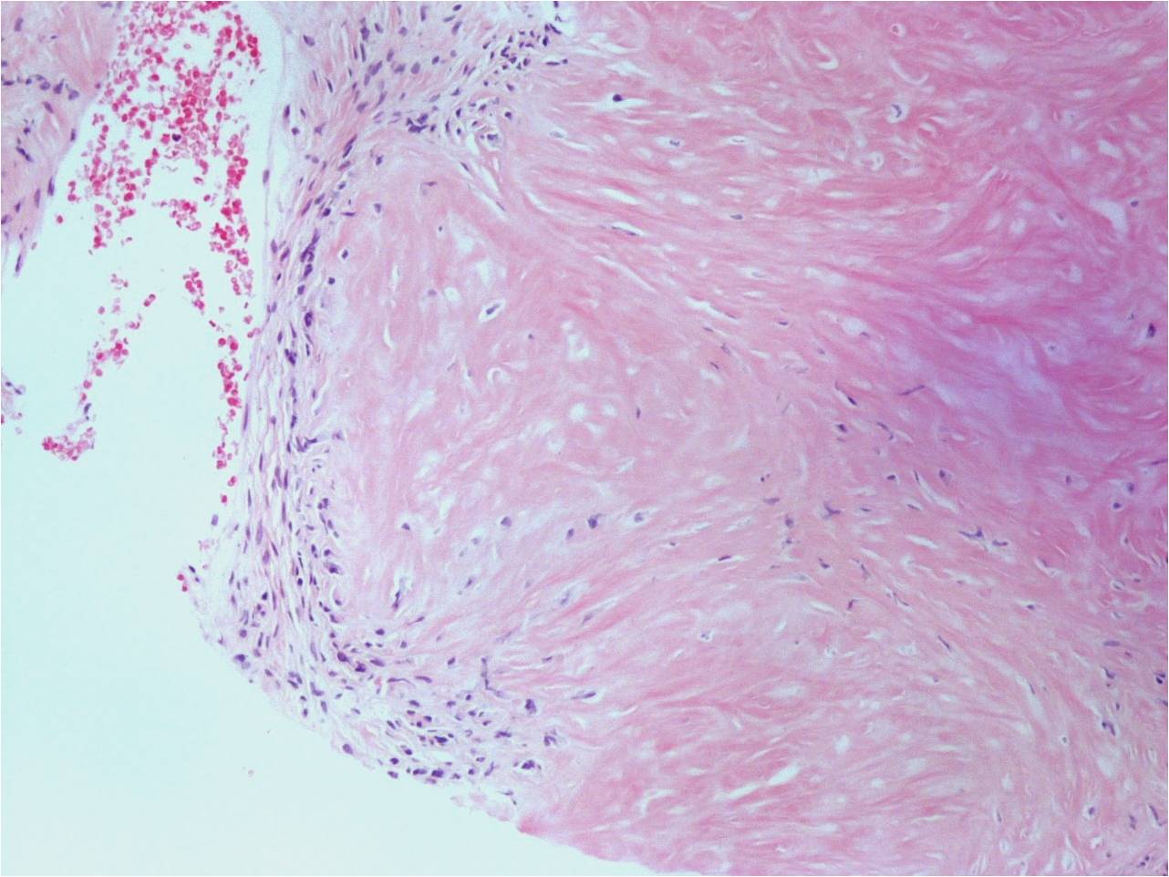 Fig. 6 Fig. 6