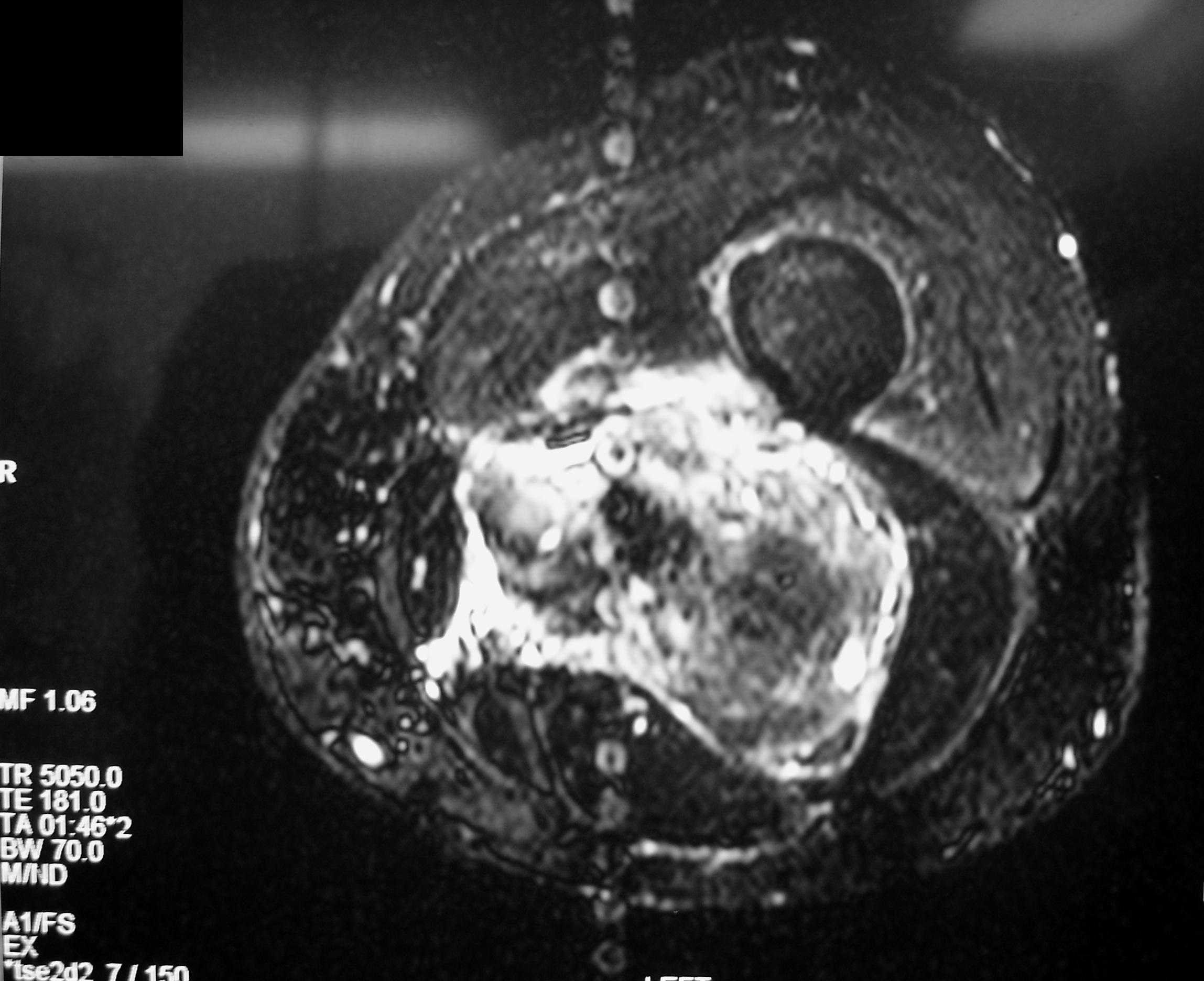 Fig. 7 Fig. 7