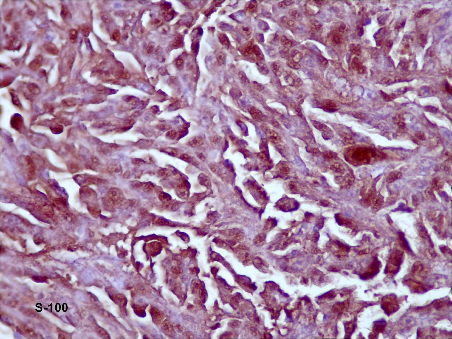 Fig. 8 Fig. 8