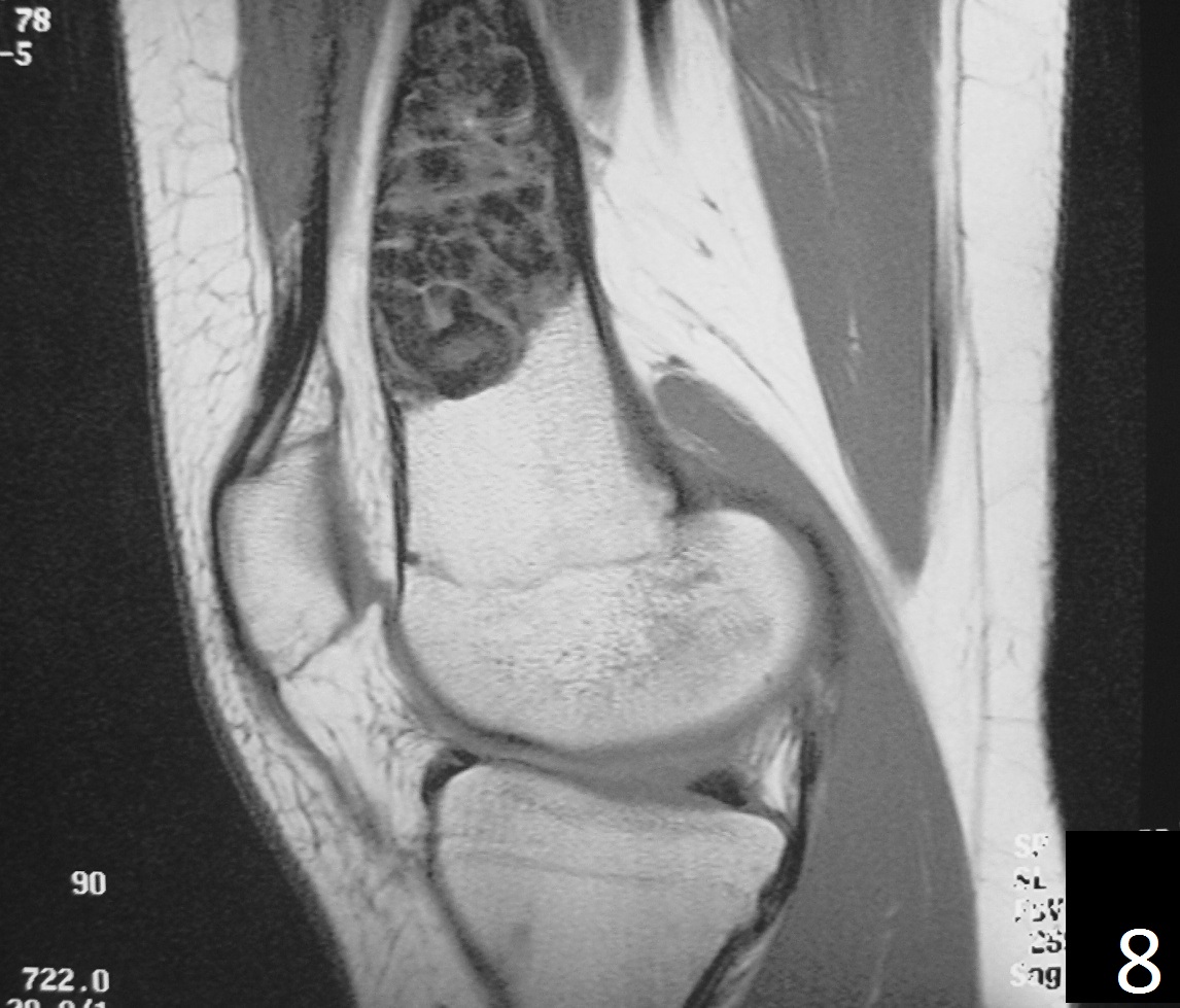 Fig. 8 Fig. 8