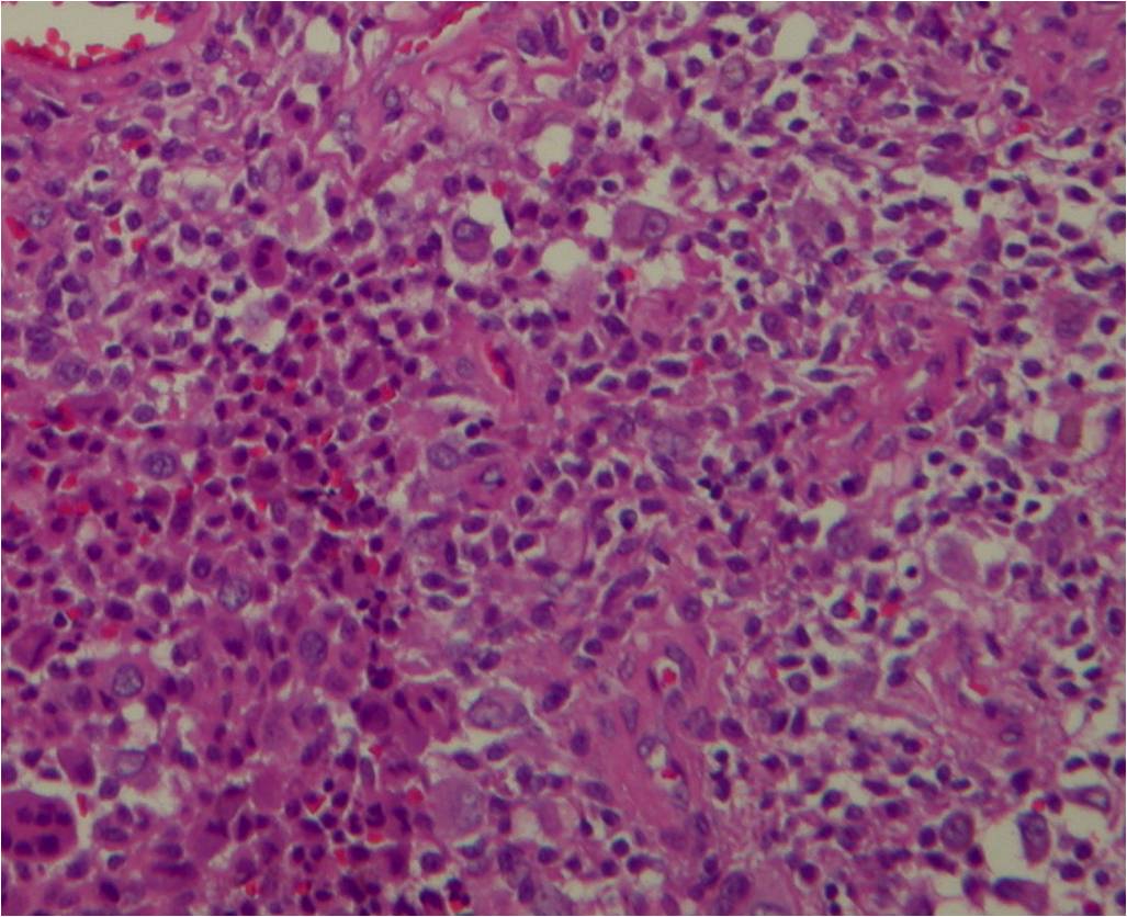 Fig. 9 Fig. 9