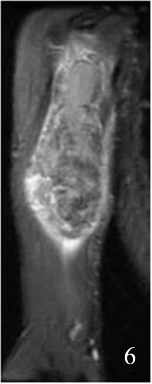 Fig. 6 Fig. 6