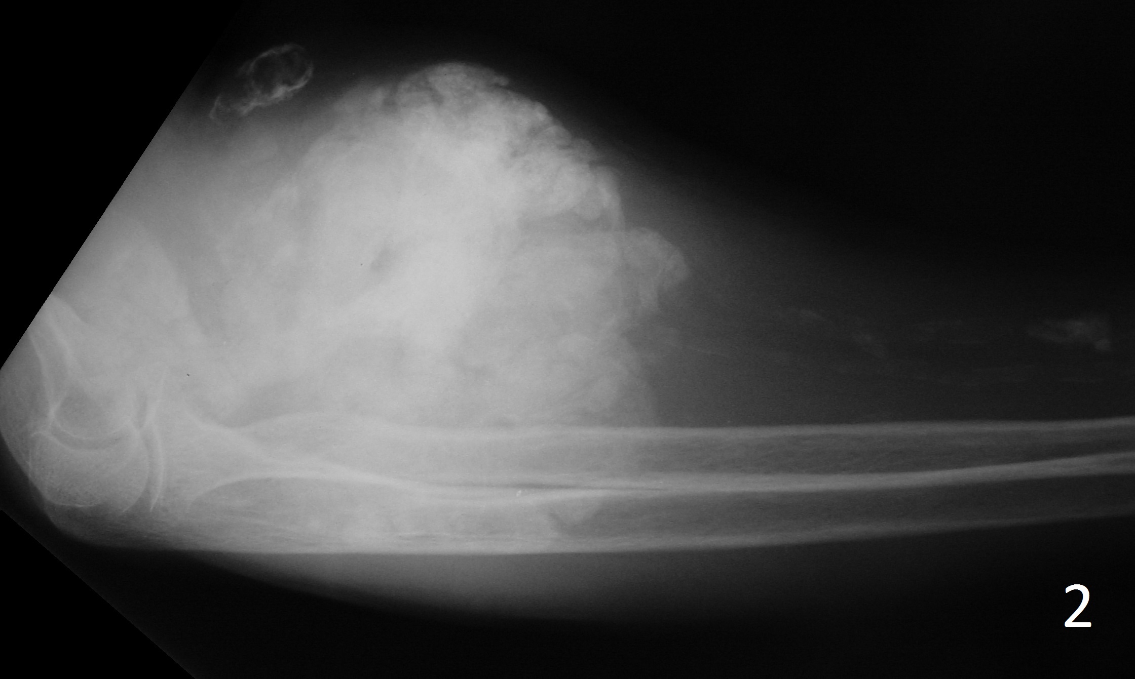 Fig. 2 Fig. 2