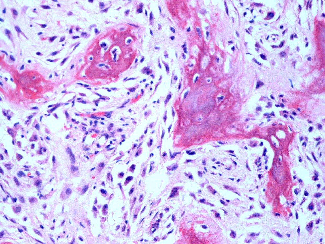 Fig. 10